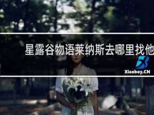 星露谷物语莱纳斯去哪里找他