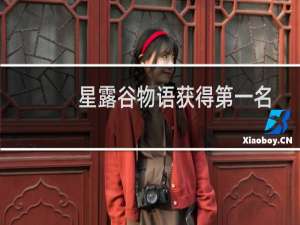 星露谷物语获得第一名