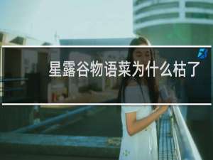 星露谷物语菜为什么枯了