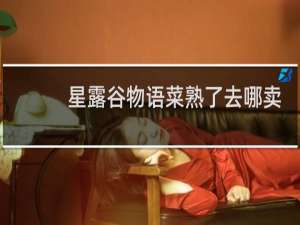 星露谷物语菜熟了去哪卖