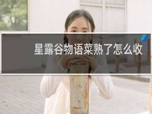 星露谷物语菜熟了怎么收