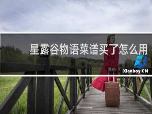 星露谷物语菜谱买了怎么用