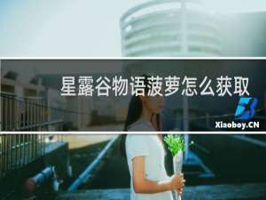 星露谷物语菠萝怎么获取