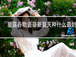 星露谷物语萌新夏天种什么最划算