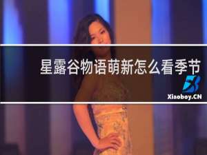 星露谷物语萌新怎么看季节