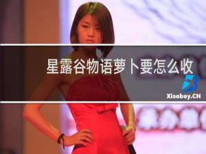 星露谷物语萝卜要怎么收