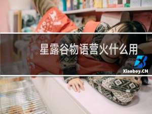 星露谷物语营火什么用