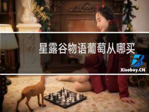 星露谷物语葡萄从哪买