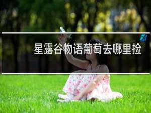 星露谷物语葡萄去哪里捡