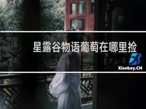 星露谷物语葡萄在哪里捡