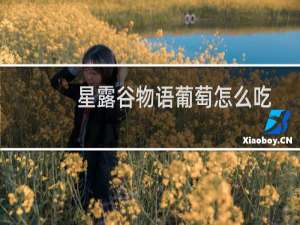 星露谷物语葡萄怎么吃
