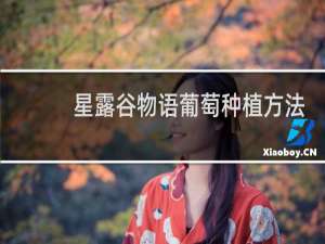 星露谷物语葡萄种植方法