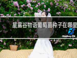 星露谷物语葡萄苗种子在哪里