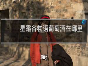 星露谷物语葡萄酒在哪里