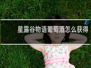 星露谷物语葡萄酒怎么获得