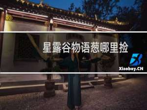 星露谷物语葱哪里捡