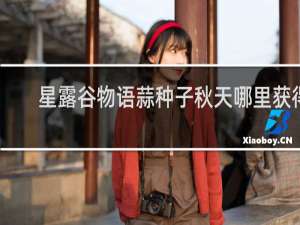 星露谷物语蒜种子秋天哪里获得