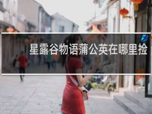 星露谷物语蒲公英在哪里捡