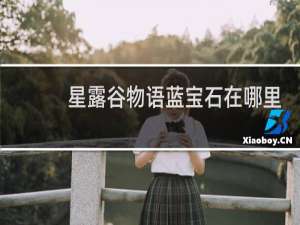 星露谷物语蓝宝石在哪里