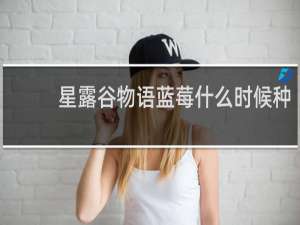 星露谷物语蓝莓什么时候种