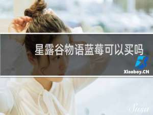 星露谷物语蓝莓可以买吗