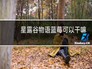 星露谷物语蓝莓可以干嘛