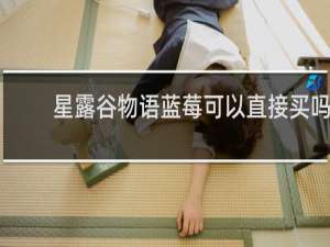 星露谷物语蓝莓可以直接买吗