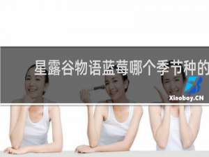 星露谷物语蓝莓哪个季节种的
