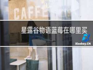 星露谷物语蓝莓在哪里买