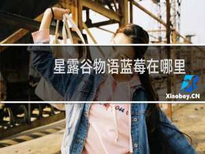 星露谷物语蓝莓在哪里