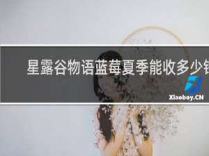 星露谷物语蓝莓夏季能收多少钱