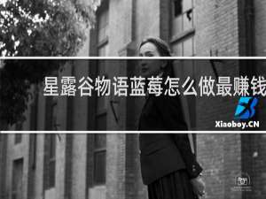 星露谷物语蓝莓怎么做最赚钱