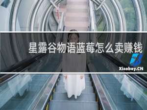 星露谷物语蓝莓怎么卖赚钱