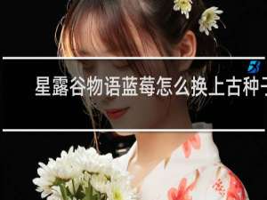 星露谷物语蓝莓怎么换上古种子