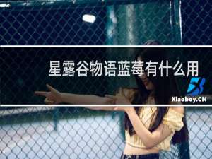 星露谷物语蓝莓有什么用