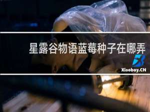 星露谷物语蓝莓种子在哪弄