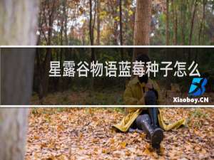 星露谷物语蓝莓种子怎么