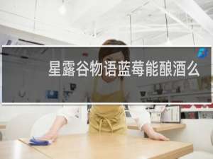 星露谷物语蓝莓能酿酒么