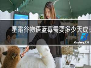 星露谷物语蓝莓需要多少天成长