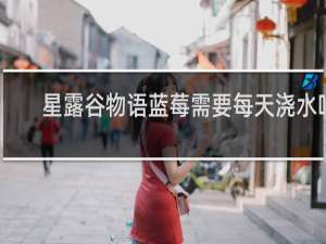 星露谷物语蓝莓需要每天浇水吗