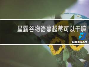 星露谷物语蔓越莓可以干嘛