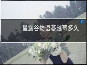 星露谷物语蔓越莓多久