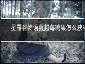 星露谷物语蔓越莓糖果怎么获得