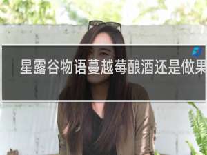 星露谷物语蔓越莓酿酒还是做果酱