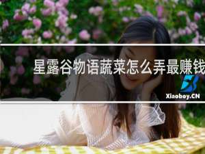 星露谷物语蔬菜怎么弄最赚钱