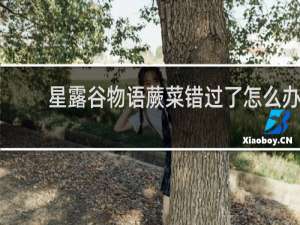 星露谷物语蕨菜错过了怎么办