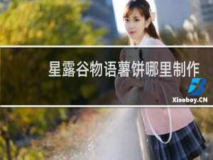 星露谷物语薯饼哪里制作