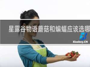 星露谷物语蘑菇和蝙蝠应该选哪个