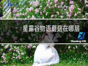 星露谷物语蘑菇在哪层