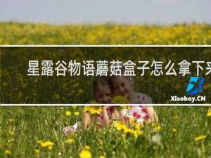 星露谷物语蘑菇盒子怎么拿下来